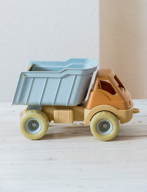 BIO LKW